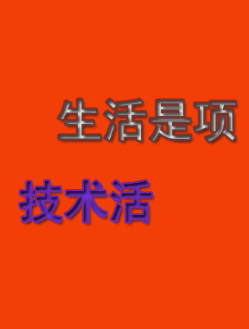 生活是项技术活